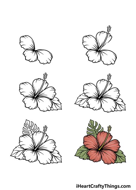Tropical Flower Drawing Step By | Best Flower Site