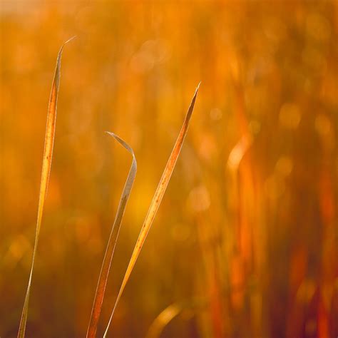 Image result for YouTube Photography Tutorials