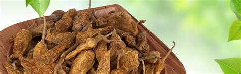 Ikkiyam Curd Dip Sun Dry Chilly | MorMilagai Vathal | Premium & Organic ...