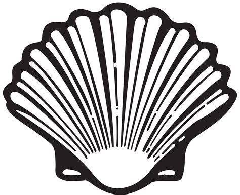 Free Shell, Download Free Shell png images, Free ClipArts on Clipart ...