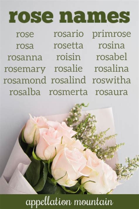 Names With The Word Rose at Bruce Green blog