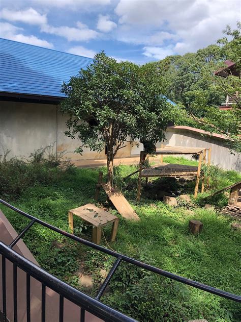 Ichikawa City Zoo, Ichikawa, Japan
