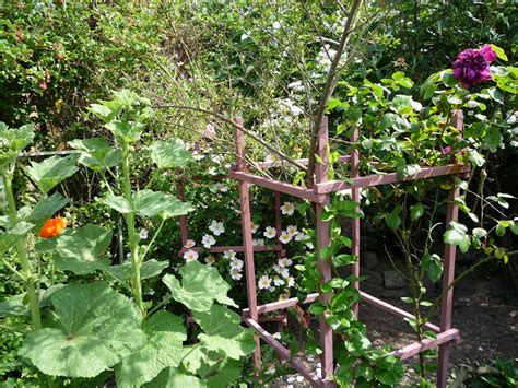 Green Earth 的图像结果