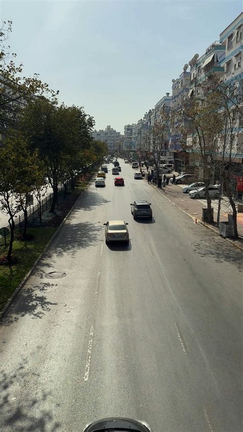 Travel Clip 的图像结果