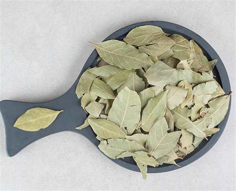 Know Some Amazing Uses Of Bay Leaf In Hindi | know some amazing uses of ...
