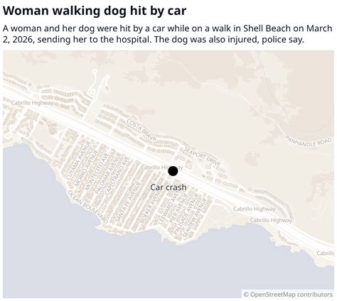Shell Beach CA pedestrian and dog injured in car crash | San Luis ...