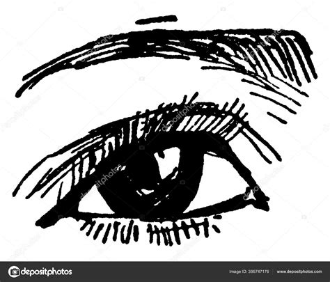 Drawing Human Eye Narrow Eye Brown Vintage Line Drawing Engraving Stock Vector by ©Morphart ...
