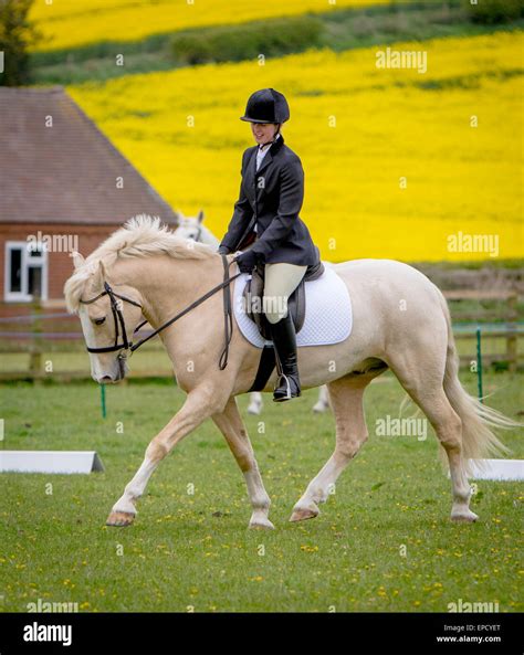 Riders and their horses take part in a local Riding Club Dressage Event ...