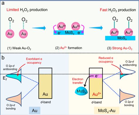 H2O2 Catalyst 的图像结果