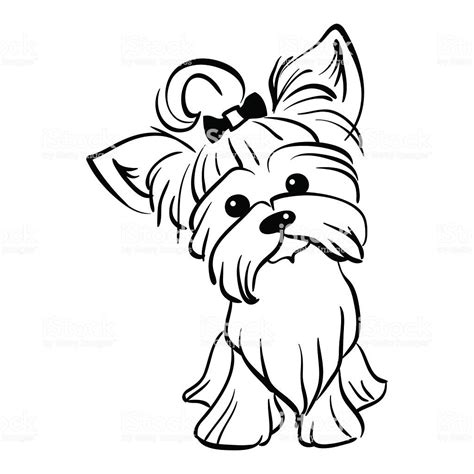 Vector sketch funny Yorkshire terrier dog sitting - Royalty-free Animal ...