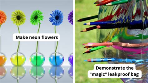 Image result for Simple Science Experiment in Working Model