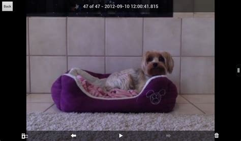 iCam - Webcam Video Streaming - App on Amazon Appstore