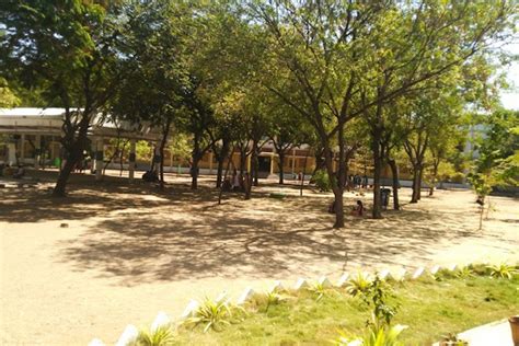 Fatima College Madurai Campus: Photos, Virtual Tour