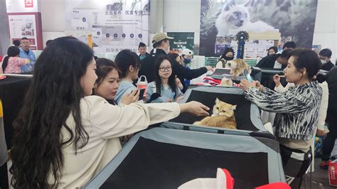 宠博会送什么礼物最新素材