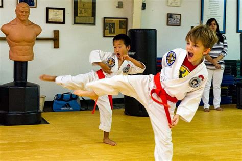 Karate 的图像结果