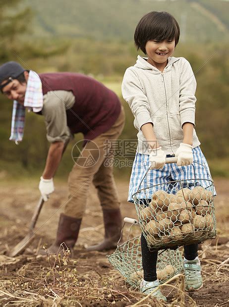 视频丨镇坪88岁爷爷和老伴一起挖土豆 勤劳一生幸福长久 - 西部网（陕西新闻网）