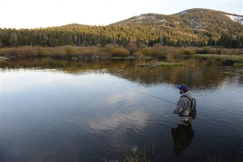 Fishing 的图像结果