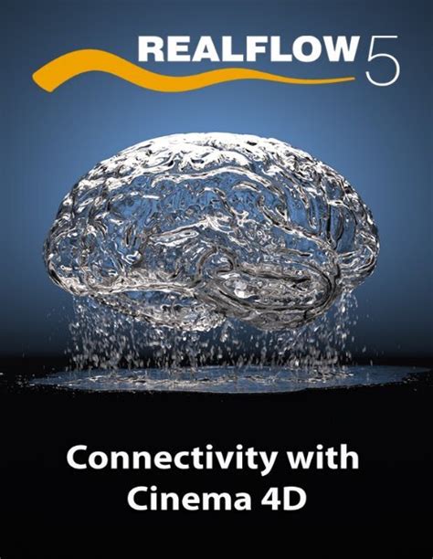 Image result for C4d RealFlow Tutorials