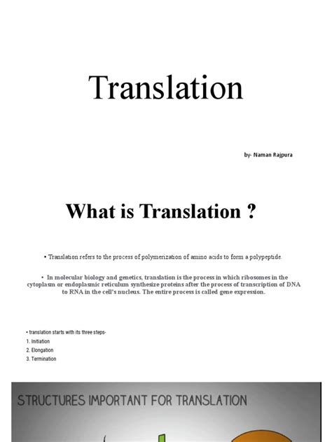 Image result for Explain the Process of Translation Image