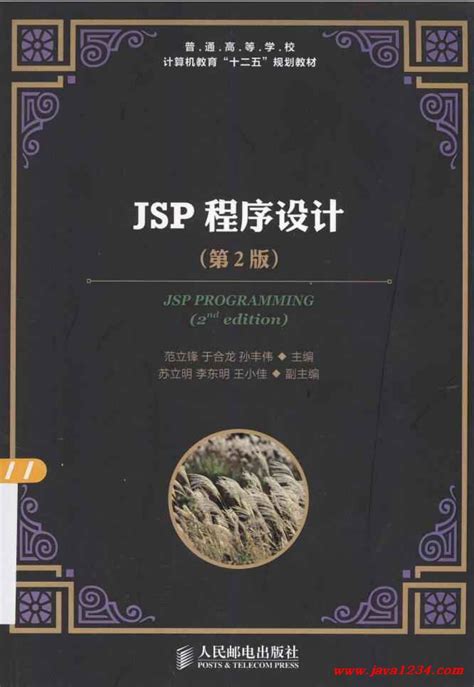 JSP程序设计 第二版 PDF 下载_Java知识分享网-免费Java资源下载