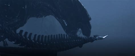 Alien Xenomorph Tail 的图像结果