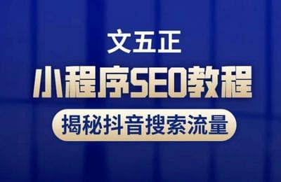 谷歌SEO零基础入门运营视频教程-海鸥外贸