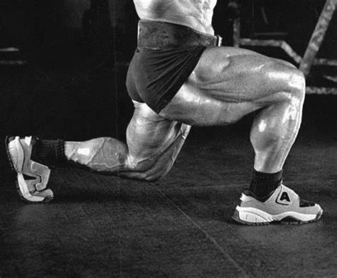 Functional Trainer Leg Workouts 的图像结果