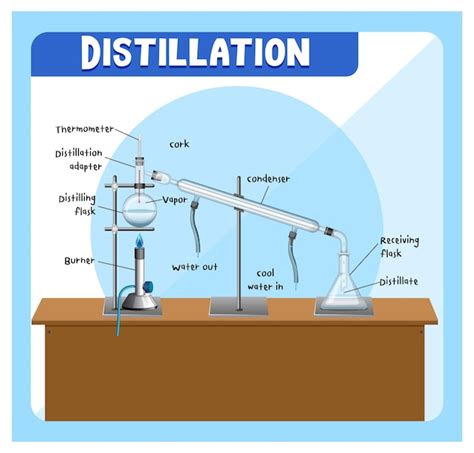 Distillation 的图像结果