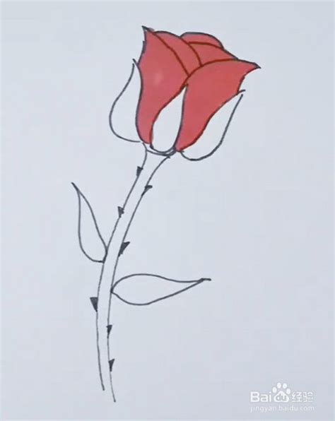 7笔画玫瑰花简单 花朵,玫瑰花简笔画简单(3) - 伤感说说吧