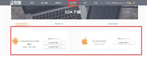 网站接入