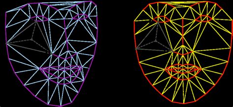 Image result for OpenGL Statistical Shape Model