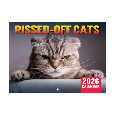 The 2026 New Calendar, The Funny Kitten Calendar, And The 2026 ...