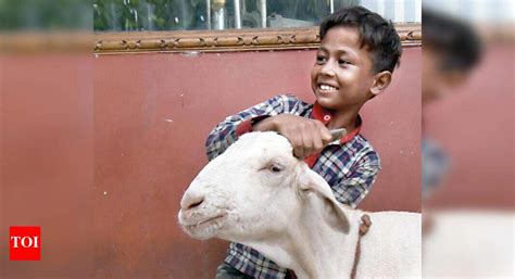 Eid’s Covid story plays on repeat in Delhi: Few goats for sale, buyers ...