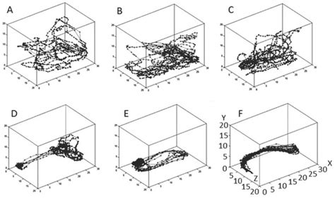 Welfare Challenges Influence the Complexity of Movement: Fractal ...