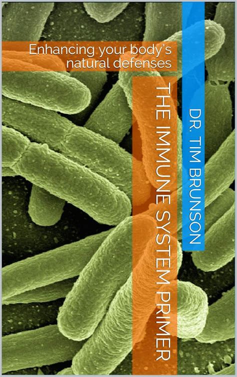 The Immune System Primer: Enhancing your body’s natural defenses ...