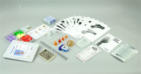 Biological Reproduction Model Kit 的图像结果