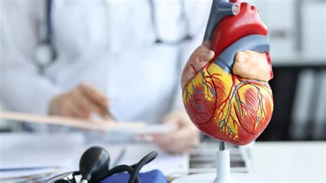 Heart health: 10 cardiologist-recommended medical tests to detect heart ...