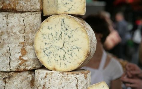 Types of Blue Cheese 的图像结果