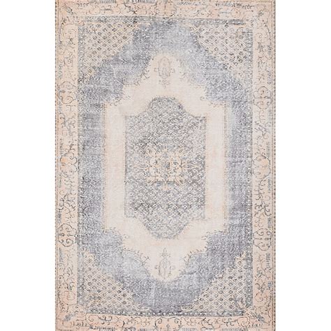 Momeni Afshar 2 x 3 (ft) Loomed Polyester Denim Rectangular Indoor ...