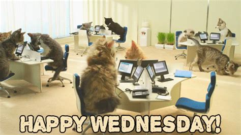 Happy Wednesday GIFs - 50 GIFs of Best Wednesday Wishes