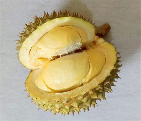 Durian Fruit Food - Free photo on Pixabay - Pixabay