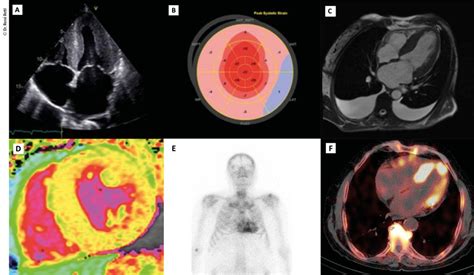 Universimed - Knowledge that matters