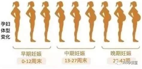 怀孕后多久才开始显肚子? 孕多少周腹围开始变大?_胎儿