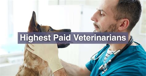 Veterinarian Salary 2022