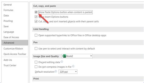 Image result for Excel Paste Values Options