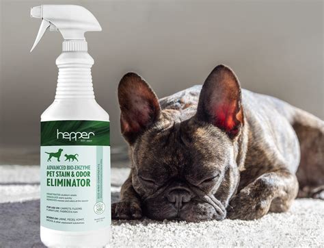 Best Enzyme Cleaner For Dog Urine Hardwood Floors | Floor Roma