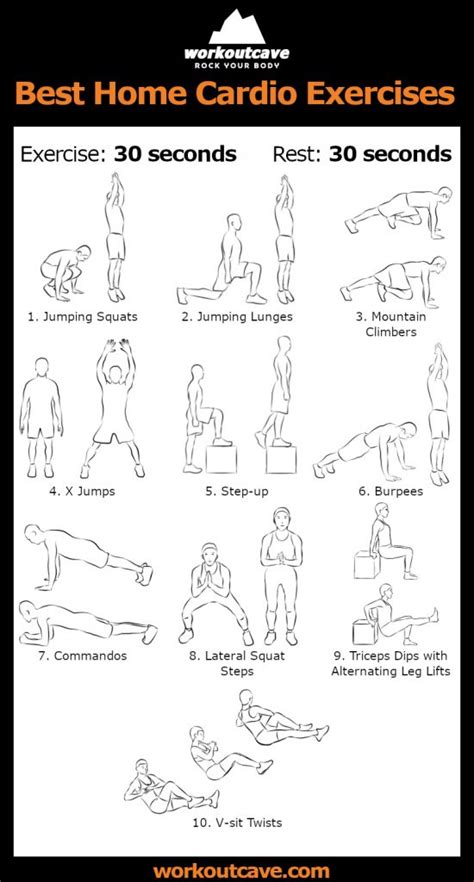 Exercise Examples 的图像结果