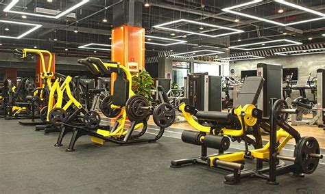 Workout Equipment | Gyms and Health Clubs | Junxia