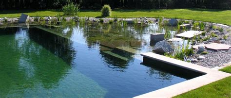 Using a Pool as a Pond 的图像结果