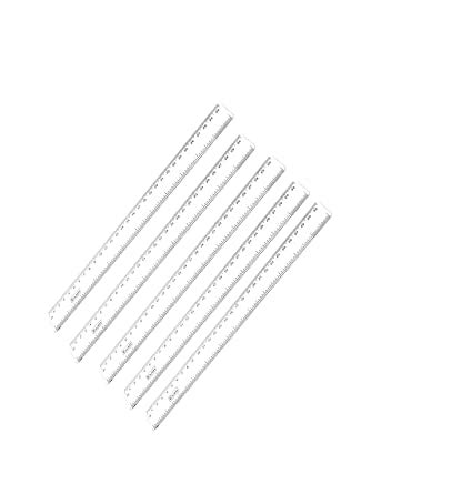 Ajanta Evanta Plastic Scale/Ruler 30cm